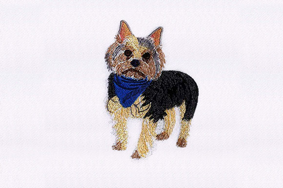 Adorable Yorkshire Terrier Dog Embroidery