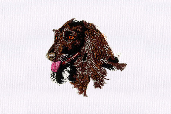 Afghan Hound Face: A Stylish Addition for Your Shop