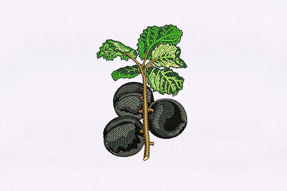 Black Cherry Vines: A Refined Embroidery Design